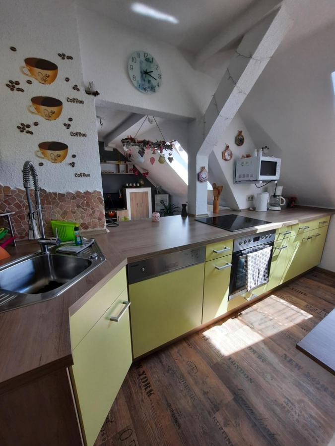 Ferienwohnung Mit Elbwiesenblick Wittenberg Extérieur photo