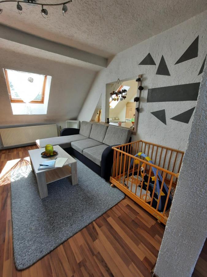 Ferienwohnung Mit Elbwiesenblick Wittenberg Extérieur photo